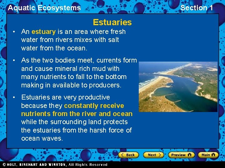 Aquatic Ecosystems Section 1 Estuaries • An estuary is an area where fresh water