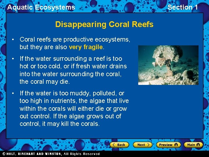 Aquatic Ecosystems Disappearing Coral Reefs • Coral reefs are productive ecosystems, but they are