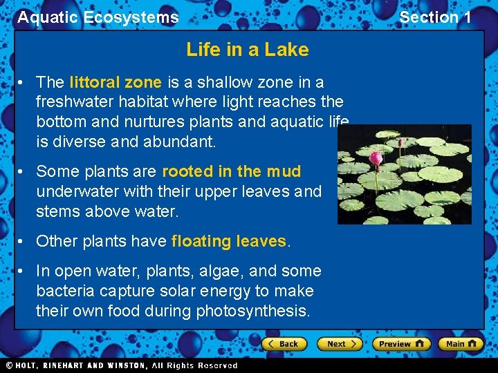 Aquatic Ecosystems Section 1 Life in a Lake • The littoral zone is a