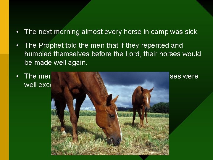  • The next morning almost every horse in camp was sick. • The