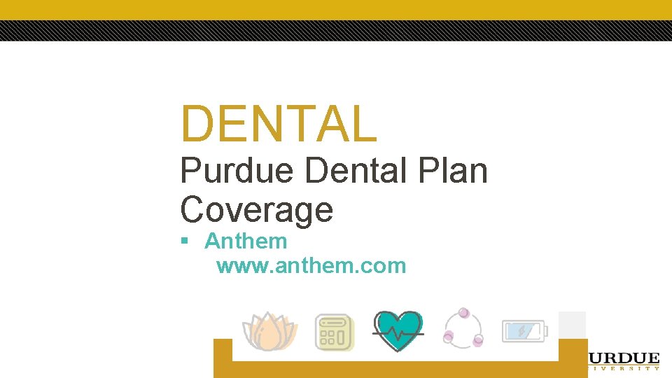 DENTAL Purdue Dental Plan Coverage § Anthem www. anthem. com 