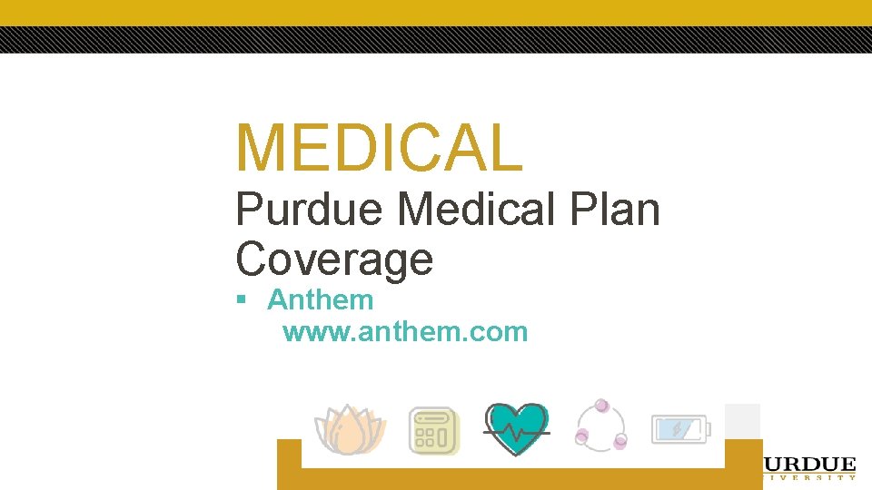 MEDICAL Purdue Medical Plan Coverage § Anthem www. anthem. com 