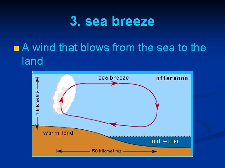 3. sea breeze n. A wind that blows from the sea to the land