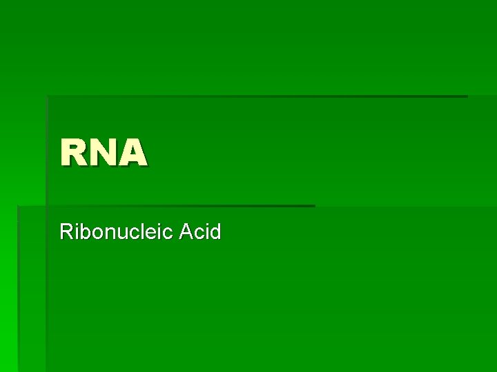 RNA Ribonucleic Acid 