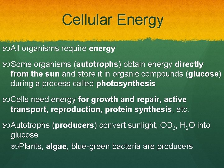 Cellular Energy All organisms require energy Some organisms (autotrophs) obtain energy directly from the