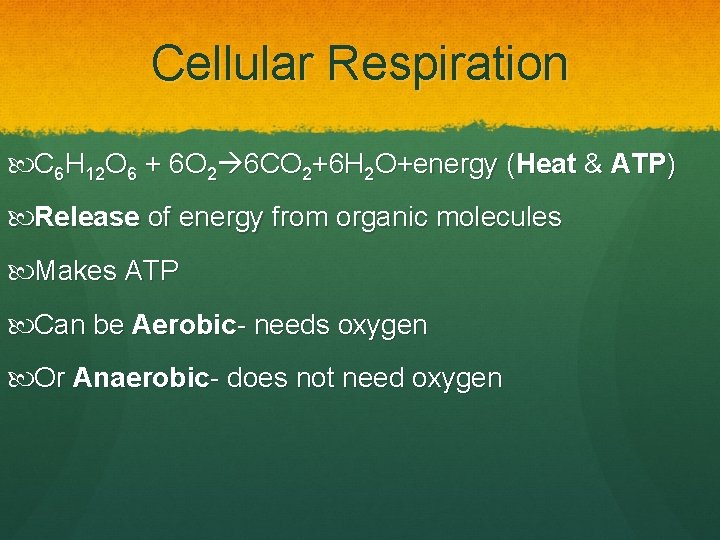 Cellular Respiration C 6 H 12 O 6 + 6 O 2 6 CO