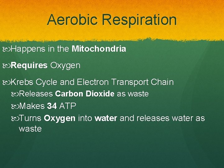 Aerobic Respiration Happens in the Mitochondria Requires Oxygen Krebs Cycle and Electron Transport Chain