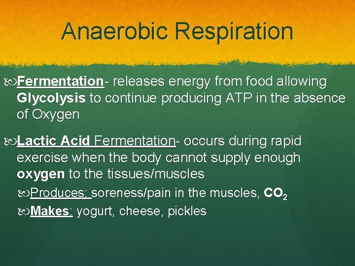 Anaerobic Respiration Fermentation- releases energy from food allowing Glycolysis to continue producing ATP in