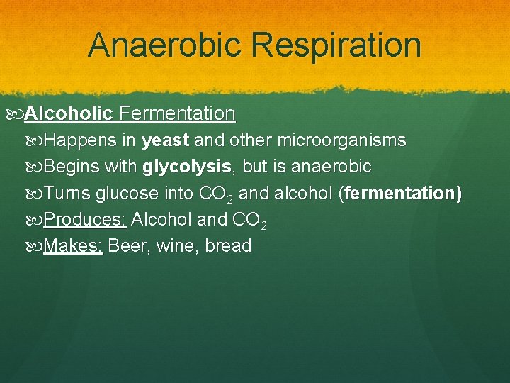 Anaerobic Respiration Alcoholic Fermentation Happens in yeast and other microorganisms Begins with glycolysis, but