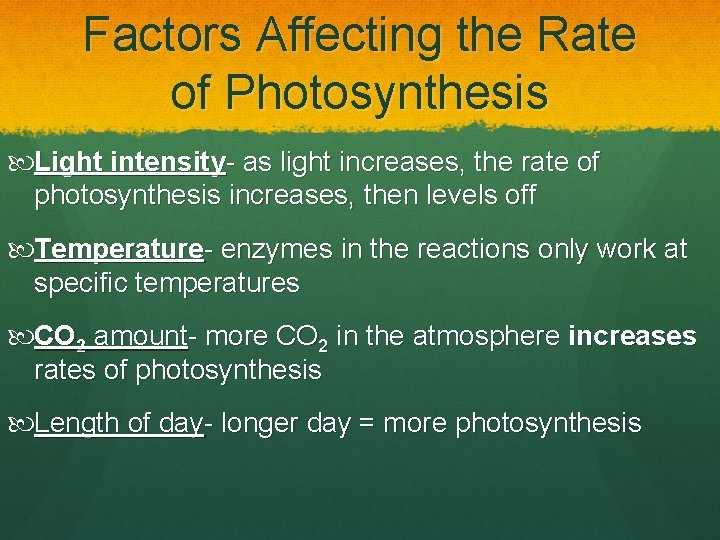 Factors Affecting the Rate of Photosynthesis Light intensity- as light increases, the rate of