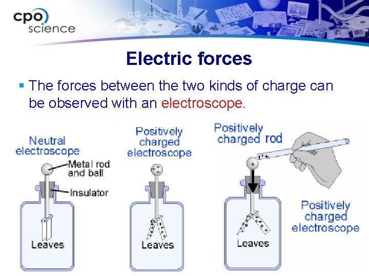 Electric forces § The forces between the two kinds of charge can be observed