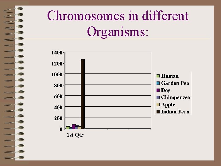 Chromosomes in different Organisms: 