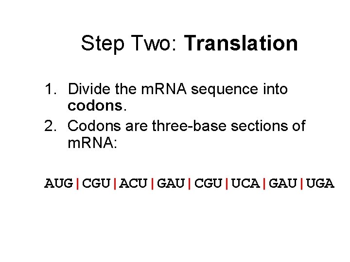 Step Two: Translation 1. Divide the m. RNA sequence into codons. 2. Codons are