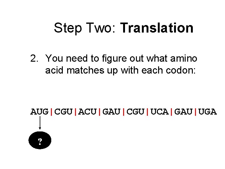 Step Two: Translation 2. You need to figure out what amino acid matches up