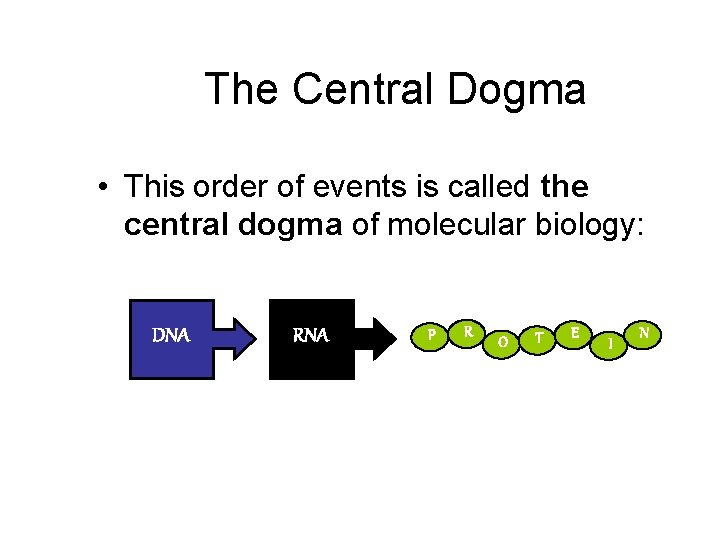 The Central Dogma • This order of events is called the central dogma of