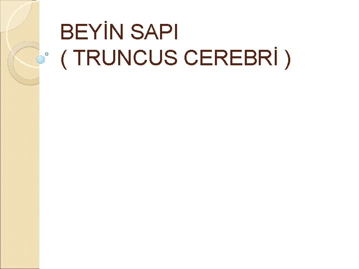 BEYİN SAPI ( TRUNCUS CEREBRİ ) 