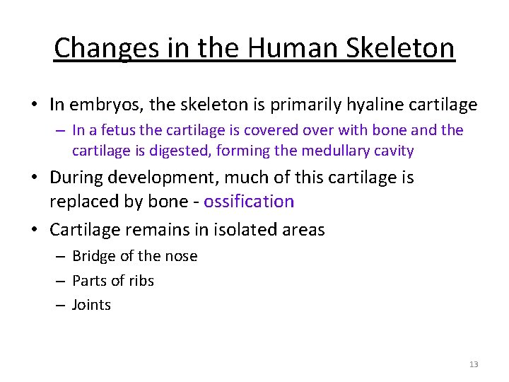 Changes in the Human Skeleton • In embryos, the skeleton is primarily hyaline cartilage