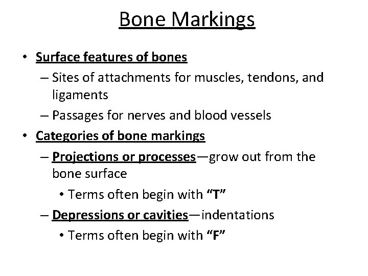 Bone Markings • Surface features of bones – Sites of attachments for muscles, tendons,