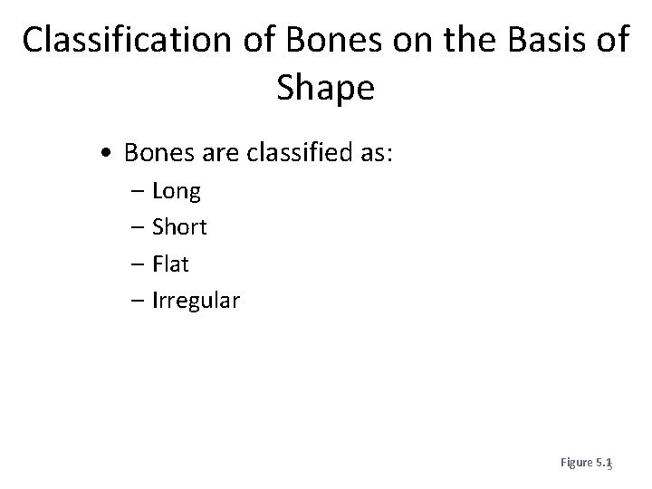 Classification of Bones on the Basis of Shape • Bones are classified as: –
