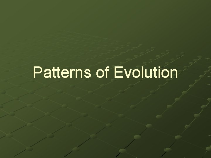 Patterns of Evolution 