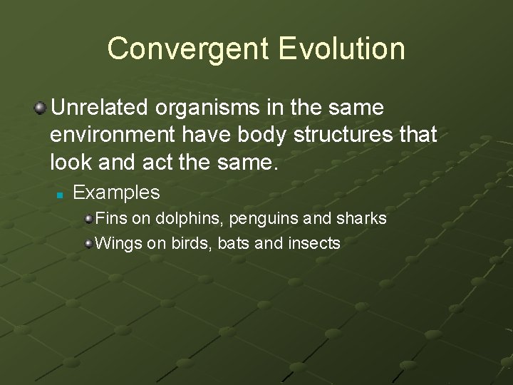 Convergent Evolution Unrelated organisms in the same environment have body structures that look and