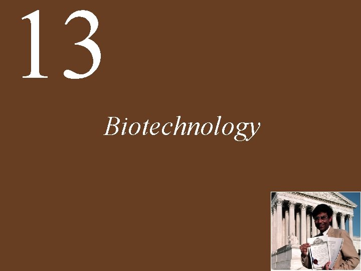 13 Biotechnology 