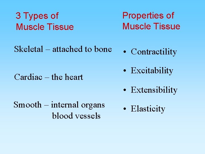 3 Types of Muscle Tissue Properties of Muscle Tissue Skeletal – attached to bone