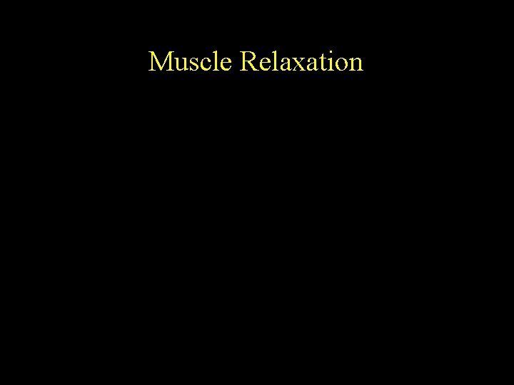 Muscle Relaxation 
