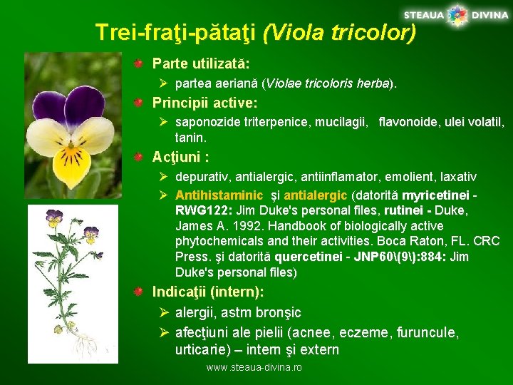 Trei-fraţi-pătaţi (Viola tricolor) Parte utilizată: Ø partea aeriană (Violae tricoloris herba). Principii active: Ø