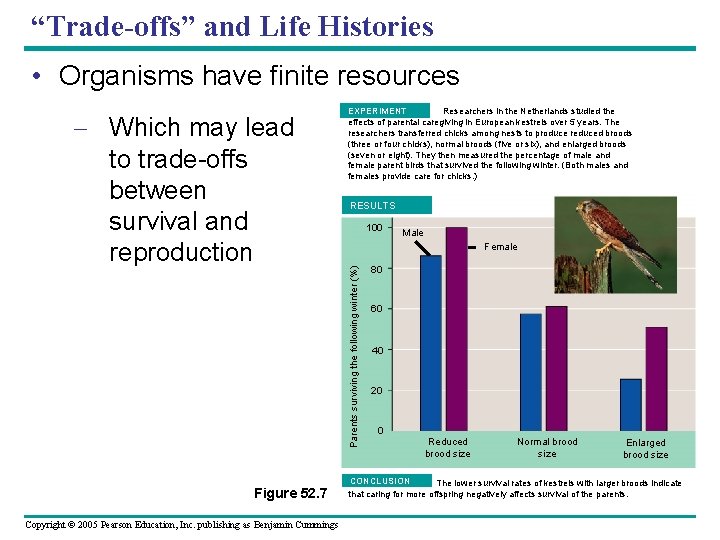 “Trade-offs” and Life Histories • Organisms have finite resources Figure 52. 7 Copyright ©