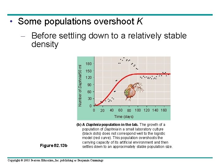  • Some populations overshoot K Number of Daphnia/50 ml – Before settling down