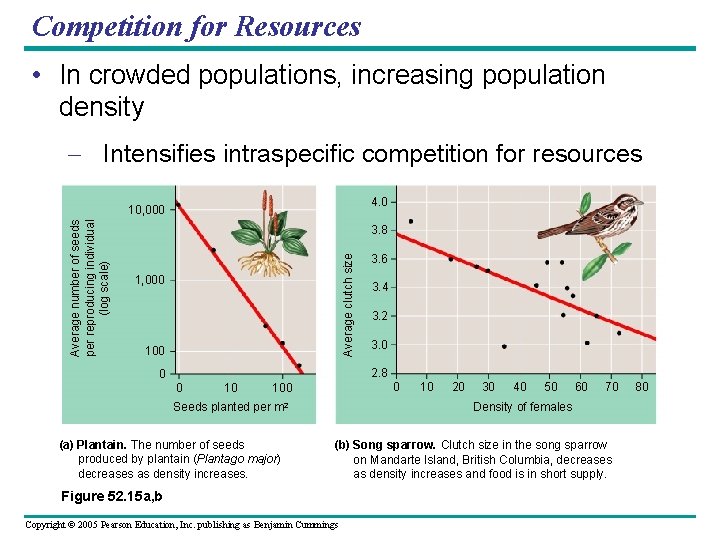 Competition for Resources • In crowded populations, increasing population density – Intensifies intraspecific competition