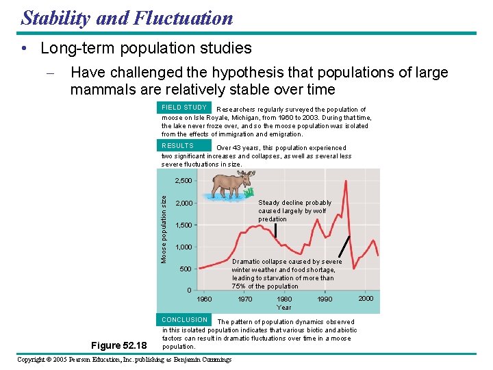 Stability and Fluctuation • Long-term population studies – Have challenged the hypothesis that populations