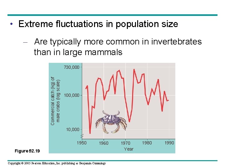  • Extreme fluctuations in population size – Are typically more common in invertebrates