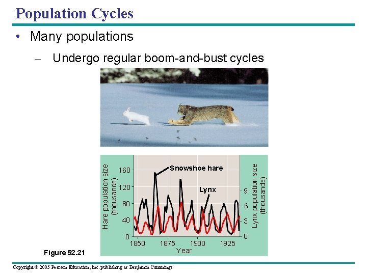 Population Cycles • Many populations 160 Snowshoe hare 120 Lynx 9 80 6 40