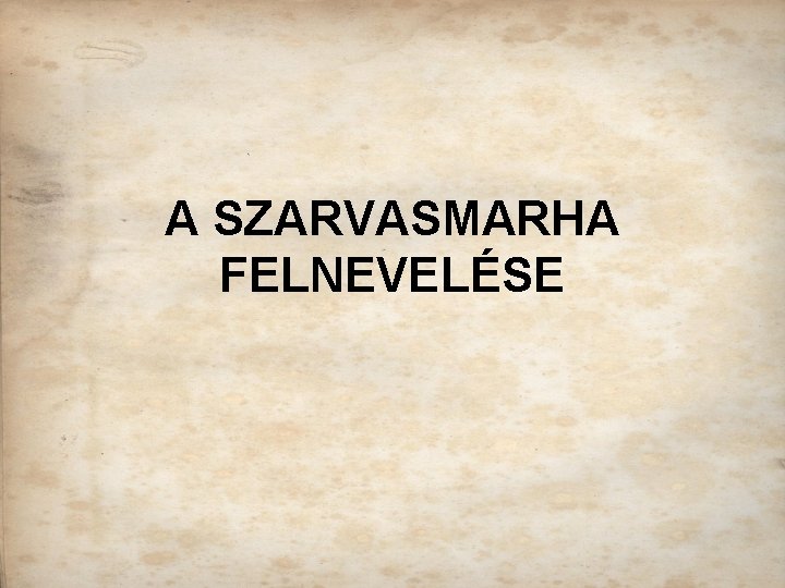 A SZARVASMARHA FELNEVELÉSE 