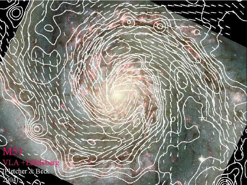 M 51 VLA +Effelsberg (Fletcher & Beck 2004) 