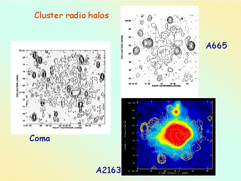 Cluster radio halos A 665 Coma A 2163 