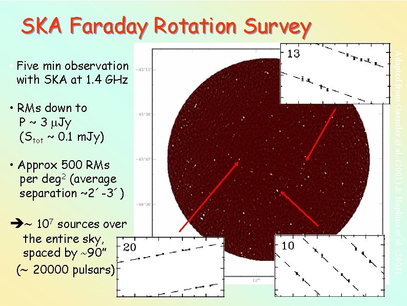 SKA Faraday Rotation Survey • RMs down to P ~ 3 Jy (Stot ~