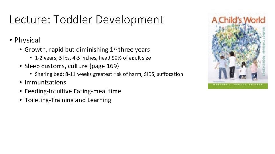Lecture: Toddler Development • Physical • Growth, rapid but diminishing 1 st three years