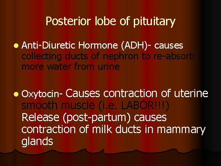 Posterior lobe of pituitary l Anti-Diuretic Hormone (ADH)- causes collecting ducts of nephron to