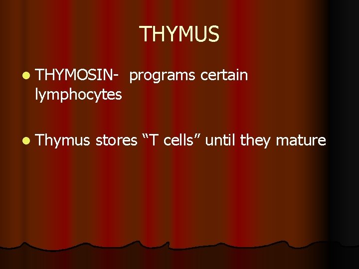 THYMUS l THYMOSIN- lymphocytes l Thymus programs certain stores “T cells” until they mature