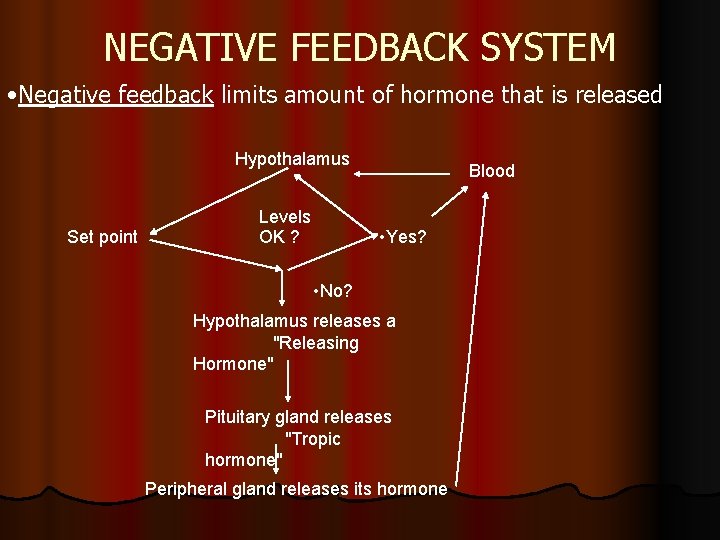 NEGATIVE FEEDBACK SYSTEM • Negative feedback limits amount of hormone that is released Hypothalamus