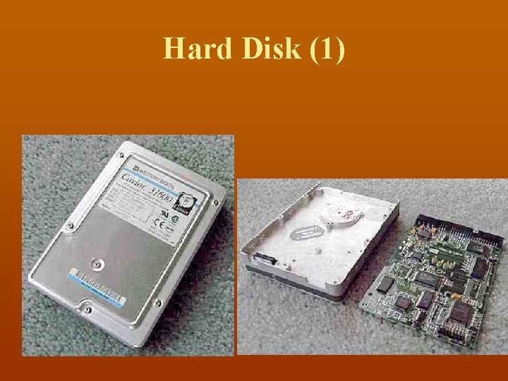 Hard Disk (1) 