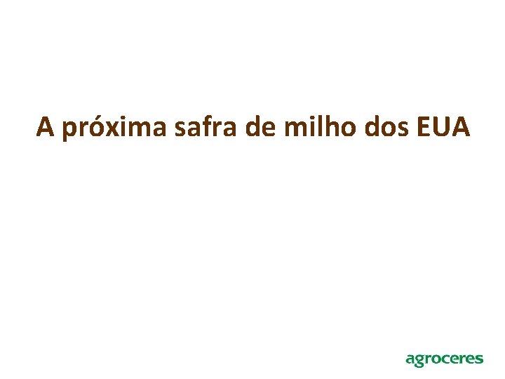 A próxima safra de milho dos EUA 