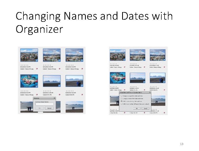 Changing Names and Dates with Organizer 13 