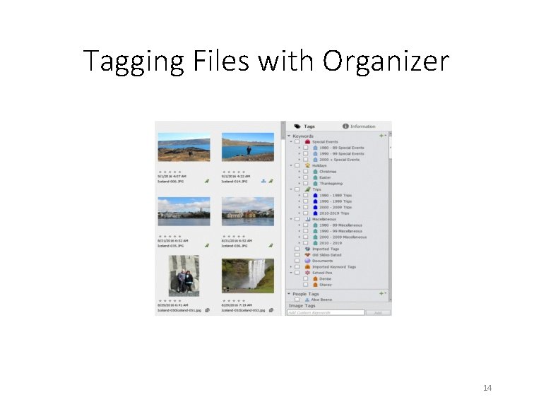 Tagging Files with Organizer 14 