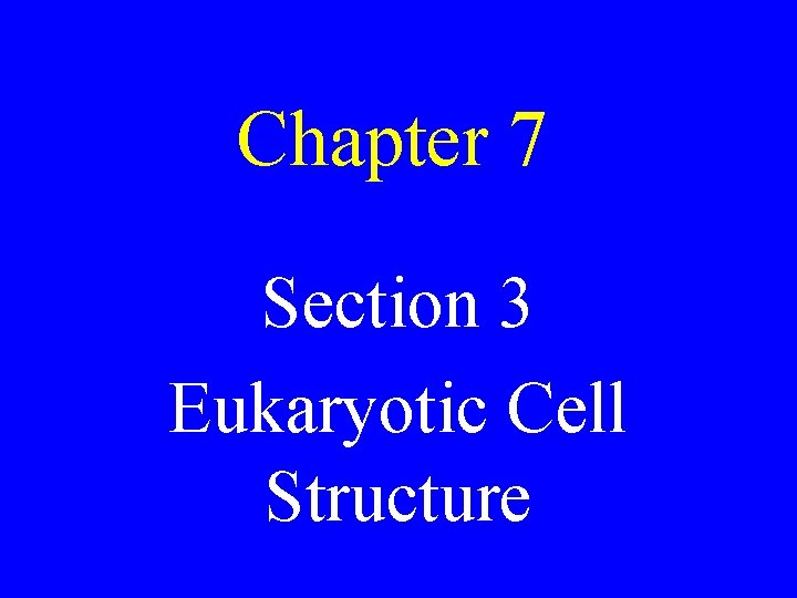 Chapter 7 Section 3 Eukaryotic Cell Structure 