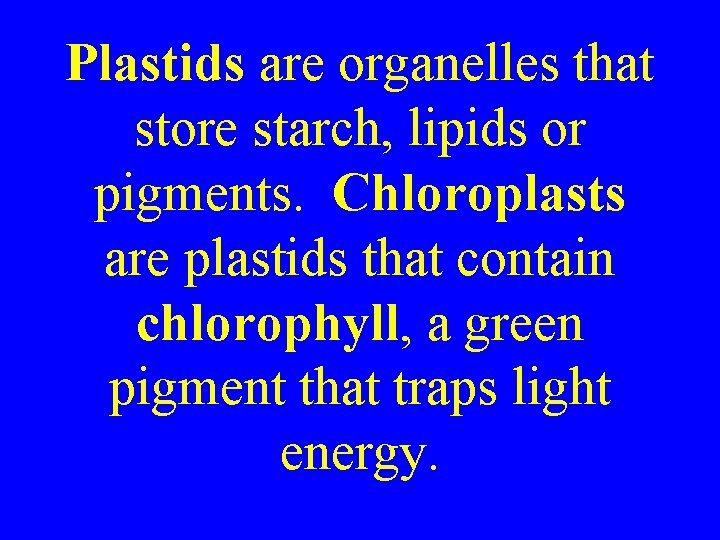 Plastids are organelles that store starch, lipids or pigments. Chloroplasts are plastids that contain