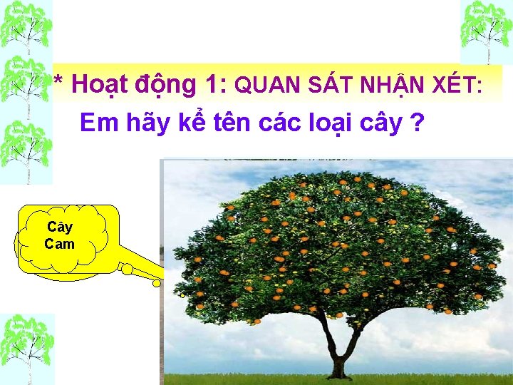 * Hoạt động 1: QUAN SÁT NHẬN XÉT: Em hãy kể tên các loại